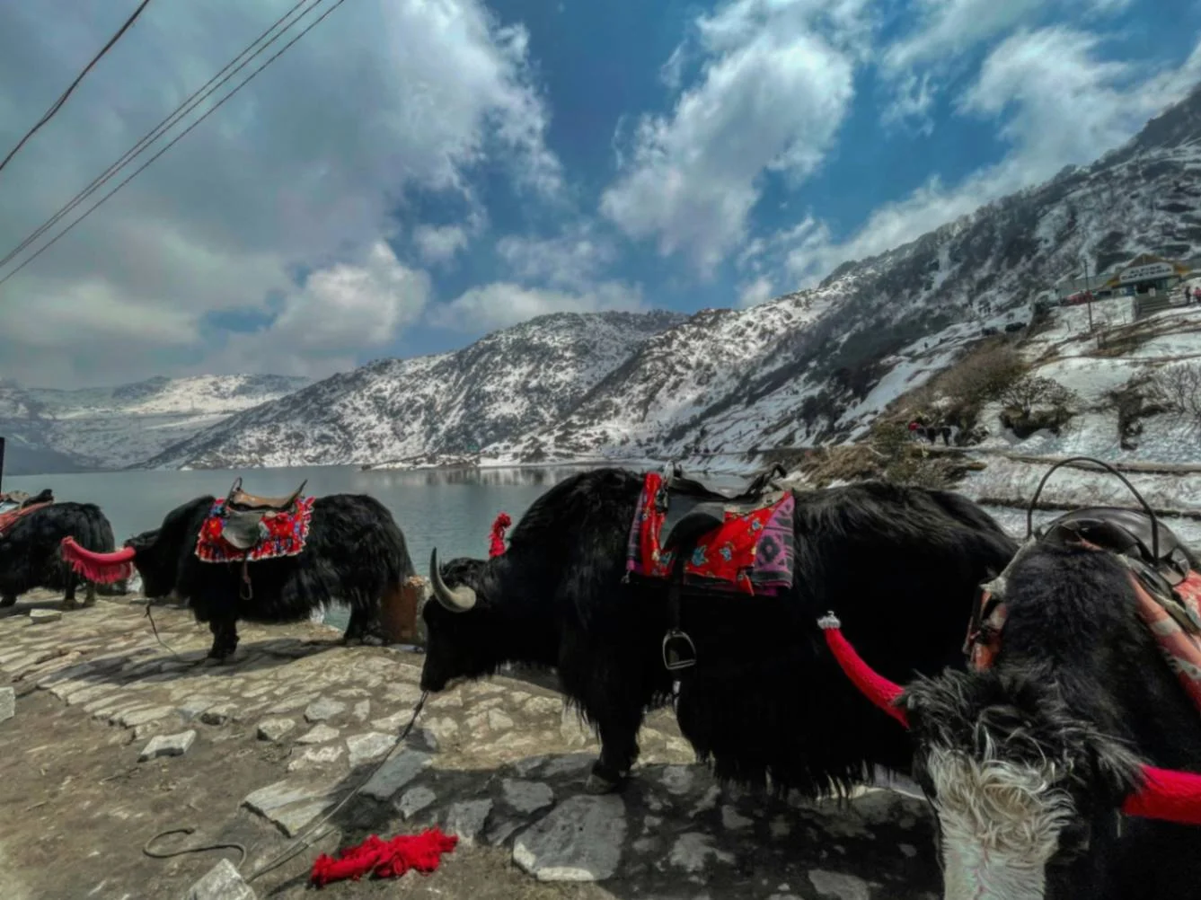 6N- WONDERS OF SIKKIM
